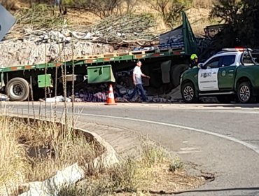 Conductor de camión pierde la vida tras impactar contra la ladera de un cerro en la cuesta La Dormida de Olmué