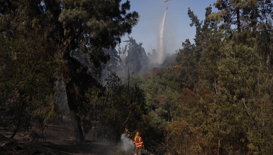 Alerta Roja en Viña del Mar. incendio forestal en el Jardín Botánico ha consumido 110 hectáreas y se mantiene en combate