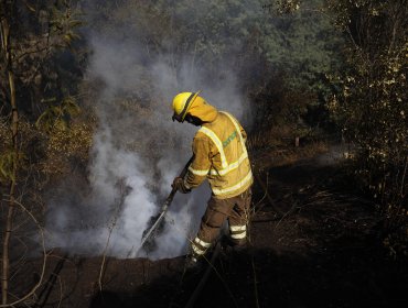 Hombre de 61 años murió tras intentar ayudar a un vecino durante incendio forestal en Melipilla