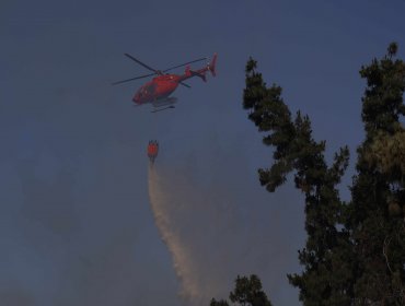 Subsecretario del Interior anuncia que el Gobierno se querellará por incendios forestales que sean provocados intencionalmente