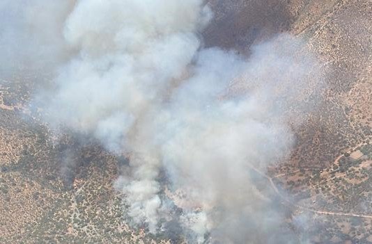 Incendio forestal activo con alta intensidad y rápida propagación se registra en Curacaví: Bomberos trabajan en dos focos