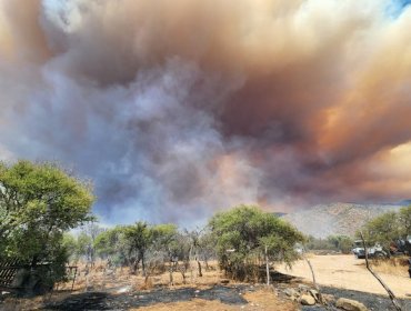 Declaran Alerta Roja para Curacaví por incendio forestal cercano a sectores poblados e infraestructura crítica