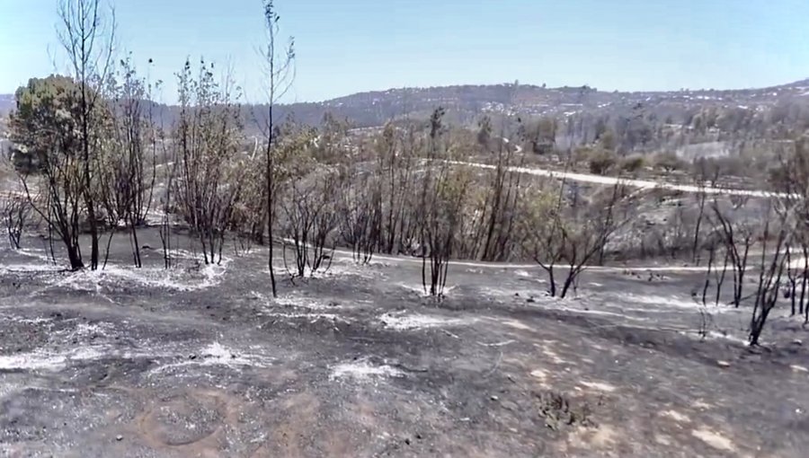 Comprometen $200 millones para restaurar el Jardín Botánico de Viña del Mar tras incendio que arrasó con 113 hectáreas