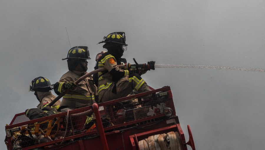 Cancelan la Alerta Roja y declaran Alerta Amarilla para Viña del Mar por incendio forestal que ya fue controlado en el Jardín Botánico