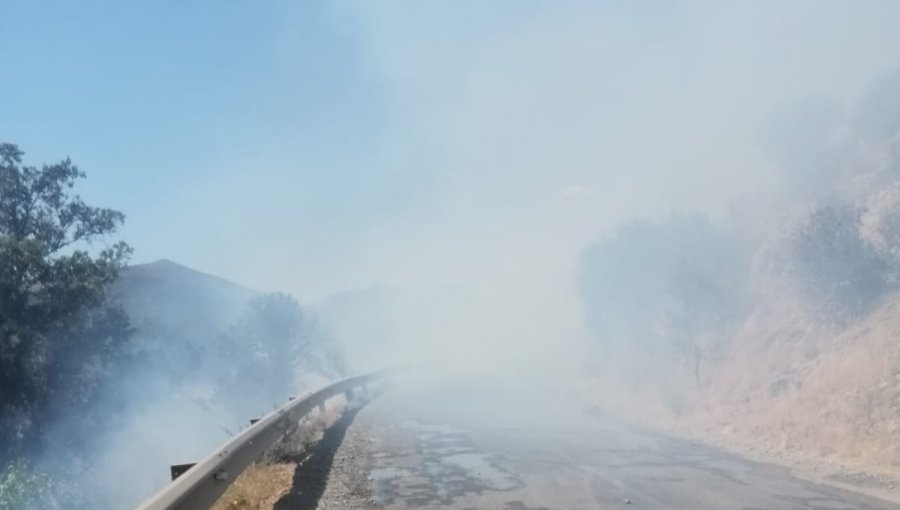 Declaran Alerta Roja para Catemu por incendio forestal que se desarrolla cercano a sectores habitados