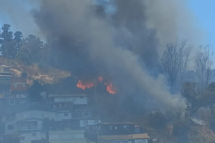 Declaran Alerta Roja para Valparaíso por incendio forestal cercano a sectores habitados en el cerro O'Higgins