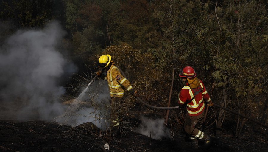 Conaf afirma que cuatro incendios forestales entre las regiones de Valparaíso y el Maule fueron provocados por mal estado del tendido eléctrico