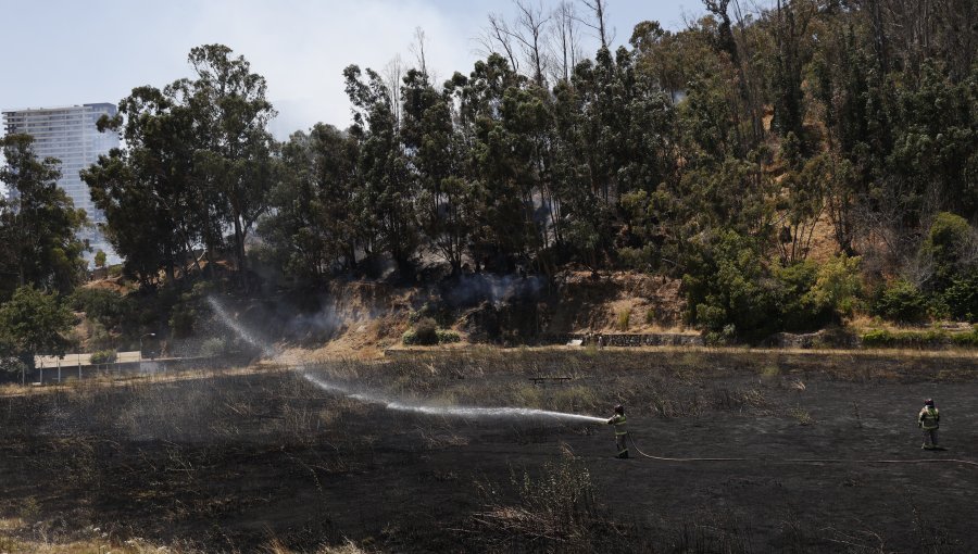 Cancelan la Alerta Roja para Valparaíso por incendio forestal que ya fue extinguido en el cerro O'Higgins