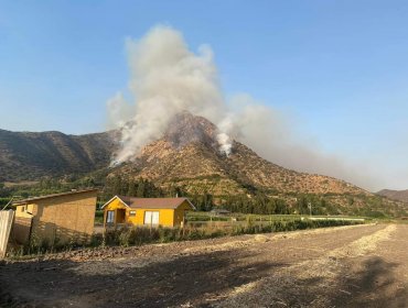 Alerta Roja en Catemu: controlan foco de incendio forestal que estuvo a sólo 50 metros de afectar a viviendas