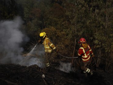 Conaf afirma que cuatro incendios forestales entre las regiones de Valparaíso y el Maule fueron provocados por mal estado del tendido eléctrico