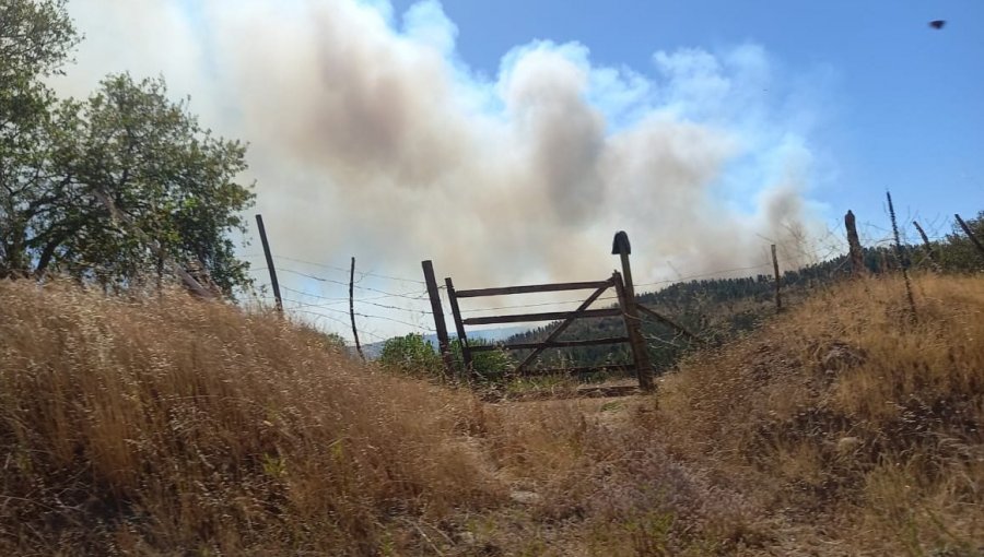 Onemi activó la mensajería SAE y solicitó evacuar 4 sectores de la comuna de Santo Domingo por incendio forestal