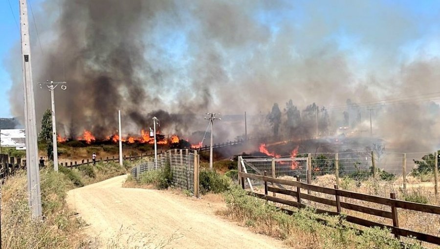 Declaran Alerta Roja para Santo Domingo por incendio forestal cercano a sectores poblados: 25 hectáreas han sido consumidas
