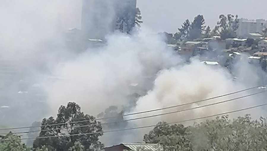 Incendio forestal con peligro de propagación a viviendas se registra en sector del cerro O'Higgins de Valparaíso