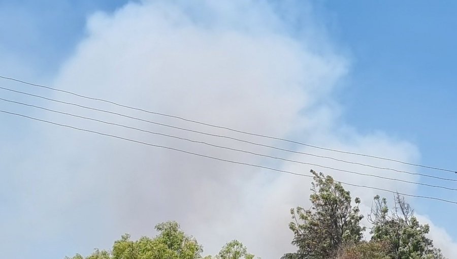 Bomberos combaten incendio forestal de alta intensidad y propagación rápida en Quebrada Escobares de Villa Alemana