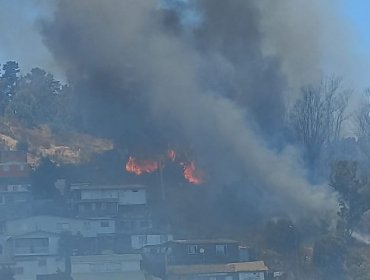 Declaran Alerta Roja para Valparaíso por incendio forestal cercano a sectores habitados en el cerro O'Higgins
