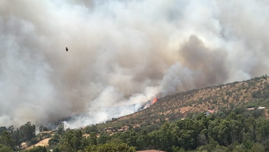 Declaran Alerta Roja para Villa Alemana por incendio forestal que ha afectado cuatro viviendas: evacuaron la escuela El Patagual