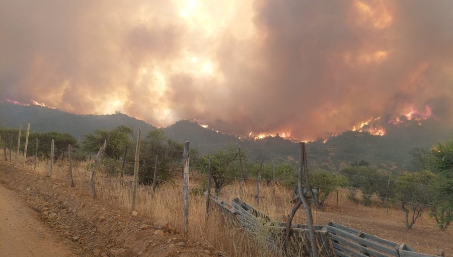 Onemi activó la mensajería SAE y solicitó evacuar cinco sectores de la comuna de Quilpué por incendio forestal