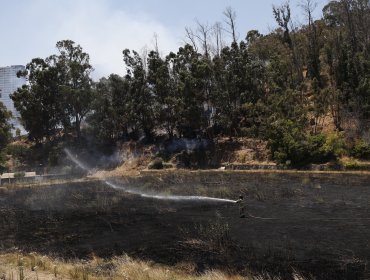 Cancelan la Alerta Roja para Valparaíso por incendio forestal que ya fue extinguido en el cerro O'Higgins