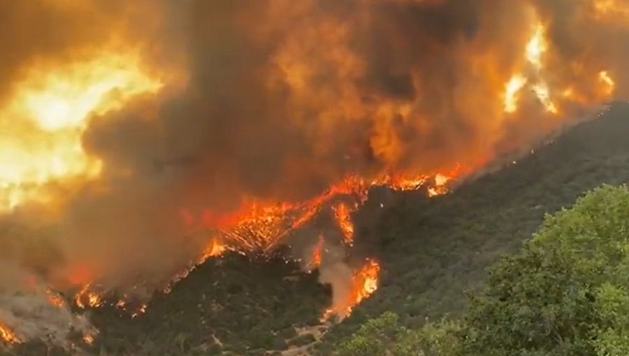 700 hectáreas ha consumido el incendio forestal que se mantiene activo con alta intensidad y propagación rápida en Quilpué