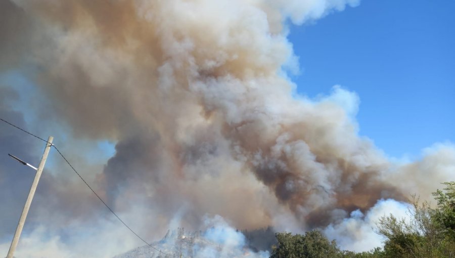 Incendio forestal en Santo Domingo ha consumido 2.150 hectáreas y destruido 3 viviendas y 1 galpón