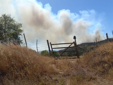 Onemi activó la mensajería SAE y solicitó evacuar 4 sectores de la comuna de Santo Domingo por incendio forestal