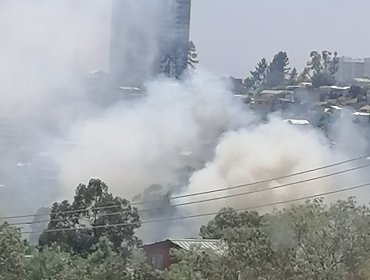 Incendio forestal con peligro de propagación a viviendas se registra en sector del cerro O'Higgins de Valparaíso