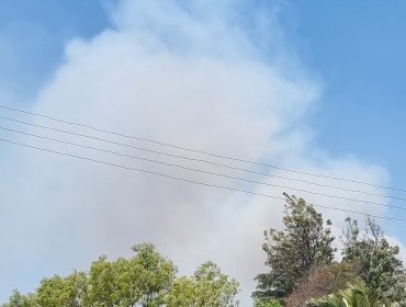 Bomberos combaten incendio forestal de alta intensidad y propagación rápida en Quebrada Escobares de Villa Alemana