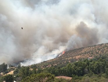 Declaran Alerta Roja para Villa Alemana por incendio forestal que ha afectado cuatro viviendas: evacuaron la escuela El Patagual