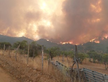 Onemi activó la mensajería SAE y solicitó evacuar cinco sectores de la comuna de Quilpué por incendio forestal