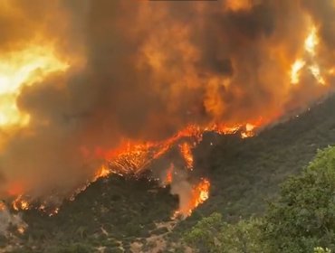 700 hectáreas ha consumido el incendio forestal que se mantiene activo con alta intensidad y propagación rápida en Quilpué