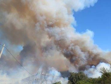 Incendio forestal en Santo Domingo ha consumido 2.150 hectáreas y destruido 3 viviendas y 1 galpón