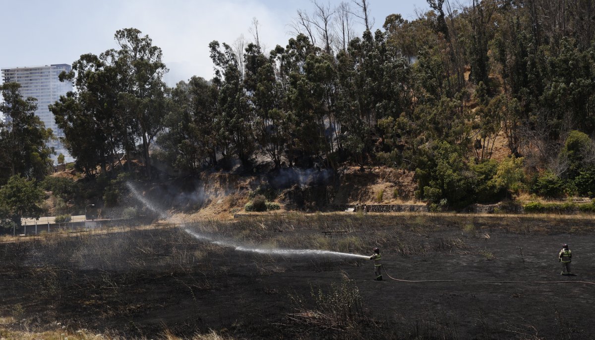 Cancelan La Alerta Roja Para Valparaíso Por Incendio Forestal Que Ya Fue Extinguido En El Cerro 8686