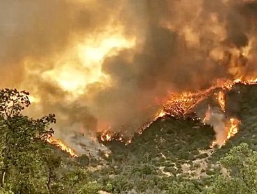 Tragedia en Quilpué: Hallan sin vida a voluntario civil que combatía incendio forestal en el sector rural de Colliguay