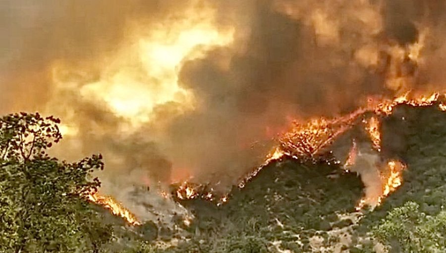 Tragedia en Quilpué: Hallan sin vida a voluntario civil que combatía incendio forestal en el sector rural de Colliguay