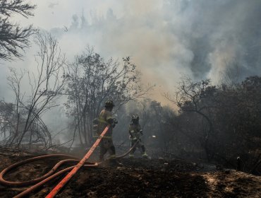 Incendios forestales en las regiones Metropolitana, Valparaíso y Biobío han dejado 8 mil hectáreas afectadas