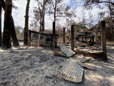 Municipio de Villa Alemana anuncia querella por incendio forestal en Quebrada Escobares: se presume intencionalidad en el origen