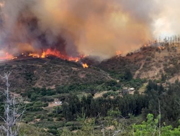 Onemi advierte que incendios forestales en Curacaví y Santo Domingo "no se van a extinguir antes de tres o cuatro días"
