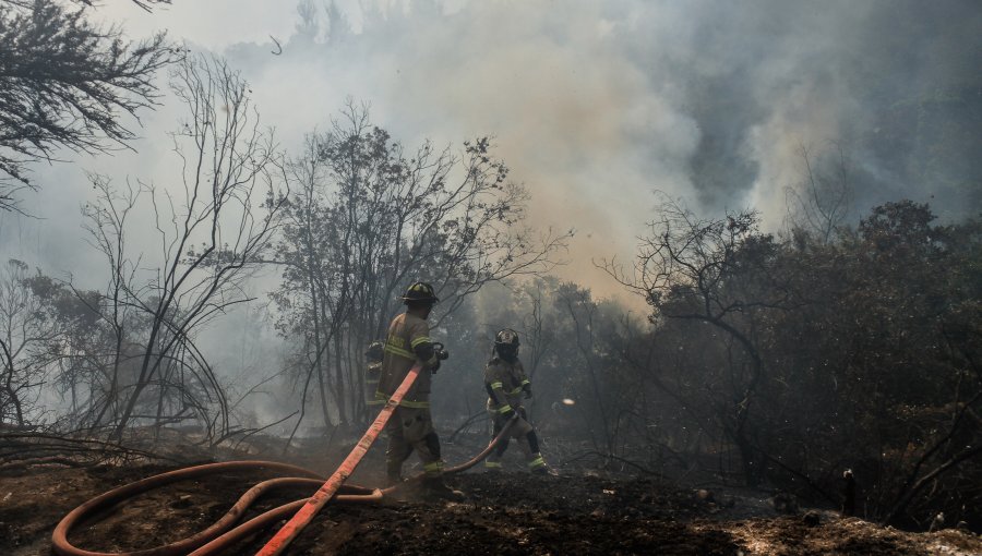 Incendios forestales en las regiones Metropolitana, Valparaíso y Biobío han dejado 8 mil hectáreas afectadas