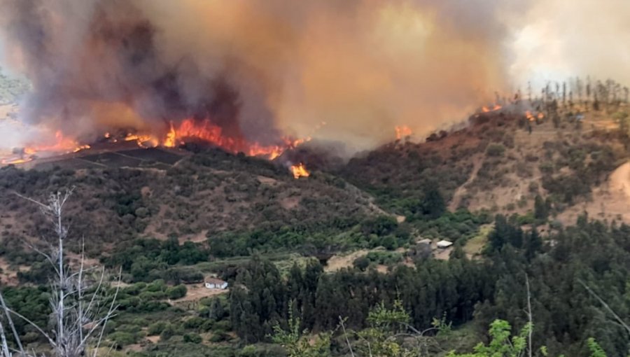 Onemi advierte que incendios forestales en Curacaví y Santo Domingo "no se van a extinguir antes de tres o cuatro días"