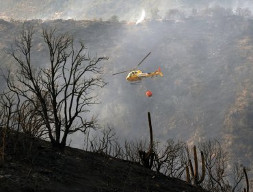 Cinco incendios forestales se mantienen en combate en la región de Valparaíso: el de Santo Domingo ha consumido 2.500 hectáreas