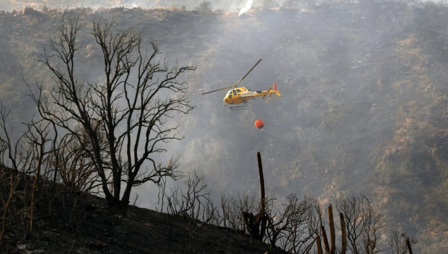 Cinco incendios forestales se mantienen en combate en la región de Valparaíso: el de Santo Domingo ha consumido 2.500 hectáreas