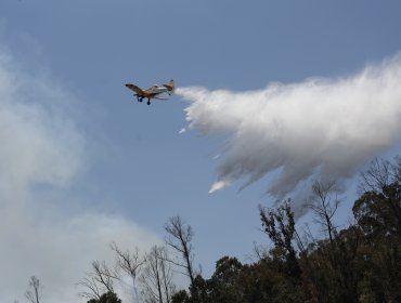 Onemi y situación actual de los incendios forestales en el país: "La mayor afectación se concentra en la región la Valparaíso"