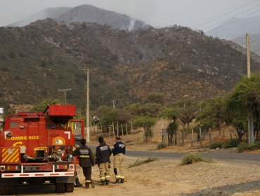 Cuatro comunas de la región de Valparaíso siguen en Alerta Roja por incendios forestales