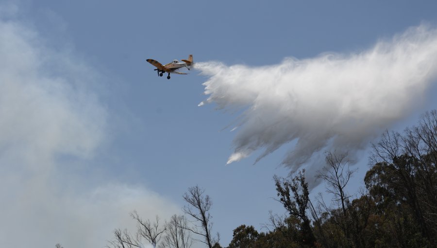 Onemi y situación actual de los incendios forestales en el país: "La mayor afectación se concentra en la región la Valparaíso"