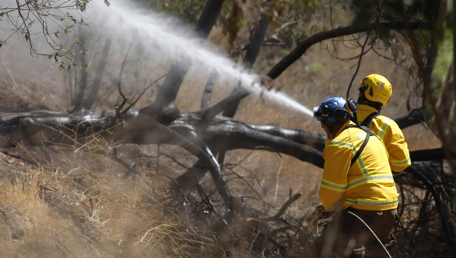 Onemi reporta siete incendios forestales en combate y que se mantiene la Alerta Roja para cuatro comunas