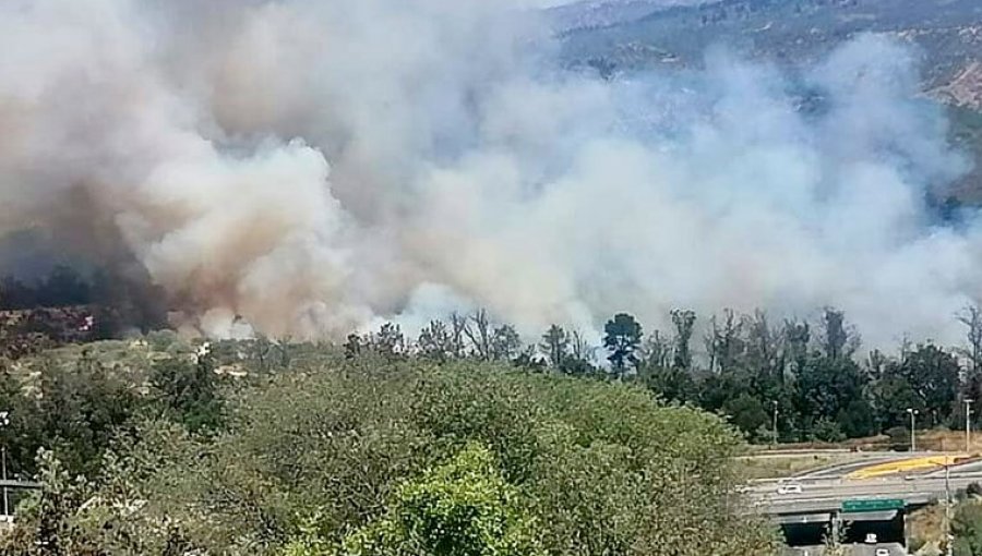 Fiscalía confirma "avances" respecto a posible intencionalidad de los incendios forestales en Viña del Mar y Santo Domingo