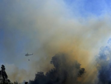 Decretan prisión preventiva para hombre acusado de provocar un incendio forestal en Penco