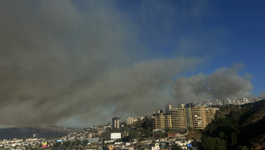 Onemi activó la mensajería SAE y solicitó evacuar cinco sectores de la comuna de Viña del Mar por incendio forestal