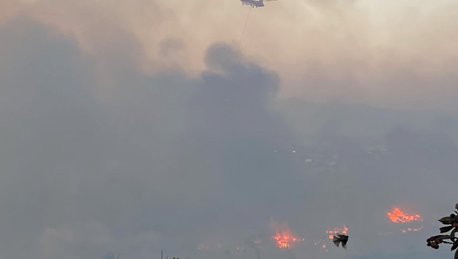 Incendio forestal en la parte alta de Viña del Mar ya habría afectado al menos a 20 viviendas