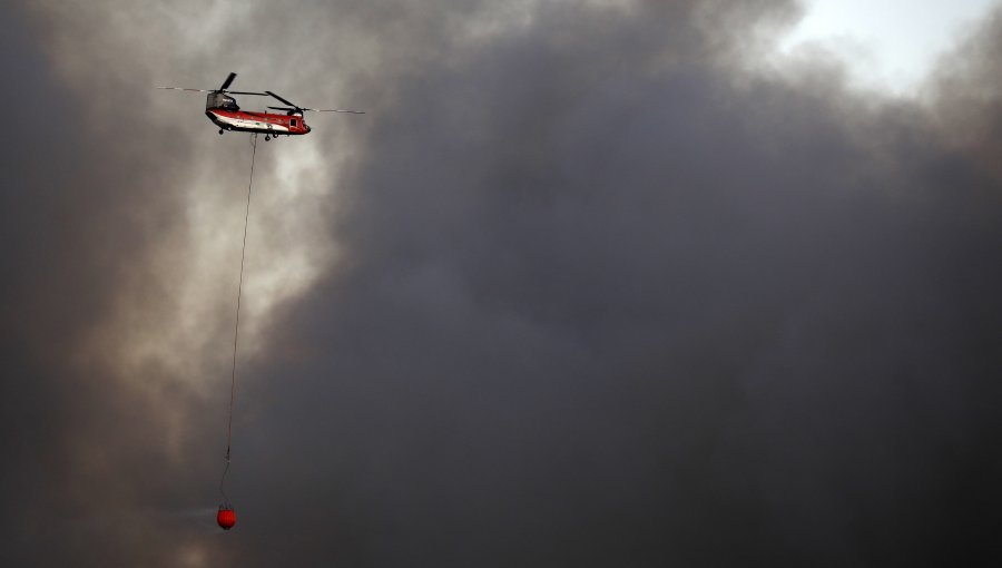 Al menos 20 viviendas afectadas y 65 hectáreas ha consumido el incendio forestal en la parte alta de Viña del Mar